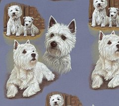 Doggy 5